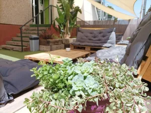 Un jardín exterior con plantas verdes en primer plano, rodeado de sofás de palets y cojines grises, creando un ambiente relajado y acogedor.